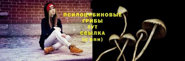 кокс Белокуриха