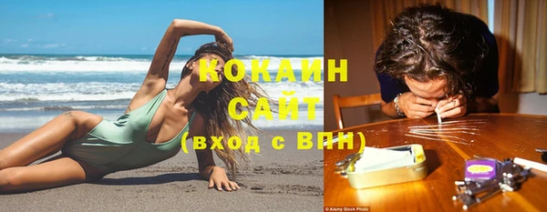 кокс Белокуриха